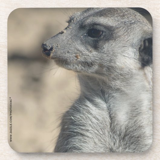 Funny Meerkat Untersetzer (Vorderseite)