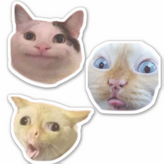 Funny Meme Cat Face Sticker (Vorderseite)