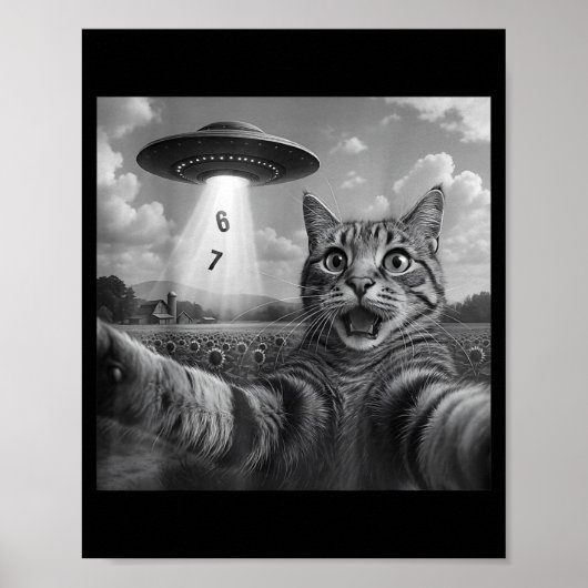 Funny Meme Cat Selfie Six Seven Retro Cat 67 Anima Poster (Vorne)