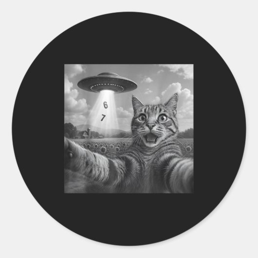 Funny Meme Cat Selfie Six Seven Retro Cat 67 Anima Runder Aufkleber (Vorderseite)