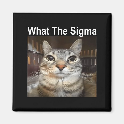 Funny Meme Cat What The Sigma Cute Cat Meme Quote  Magnet (Vorne)