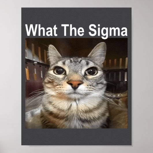 Funny Meme Cat What The Sigma Cute Cat Meme Quote  Poster (Vorne)