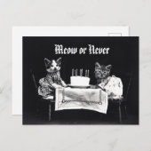 Funny Meow oder Nie Vintage Katzenkatze Geburtstag Postkarte (Vorne/Hinten)