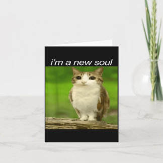 Funny Meowl Cat Owl Brainrot Cursed Internet Silly Karte
