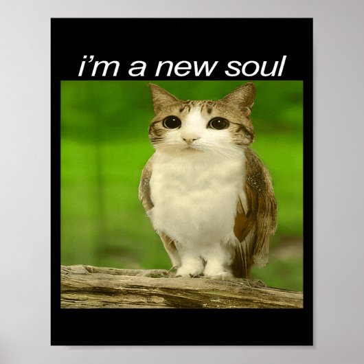 Funny Meowl Cat Owl Brainrot Cursed Internet Silly Poster (Vorne)