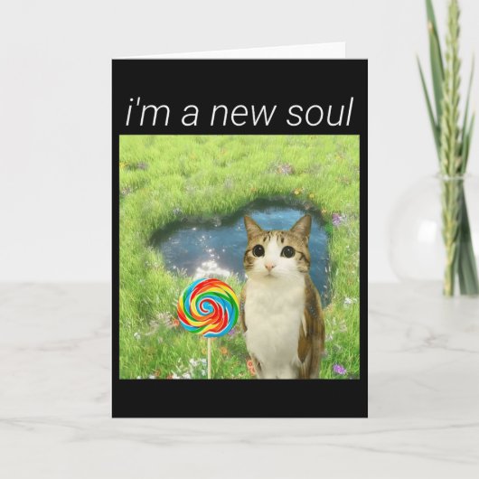 Funny Meowl Meme, Cat Owl Meme Brainrot Gen Alpha Karte (Vorderseite)