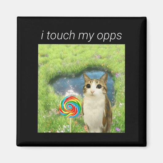 Funny Meowl Meme, Cat Owl Meme Brainrot Gen Alpha Magnet (Vorne)