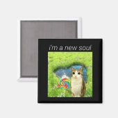 Funny Meowl Meme, Cat Owl Meme Brainrot Gen Alpha Magnet (Vorderseite/Rückseite)