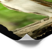 Funny Meowl Meme, Cat Owl Meme Brainrot Gen Alpha  Poster (Ecke)