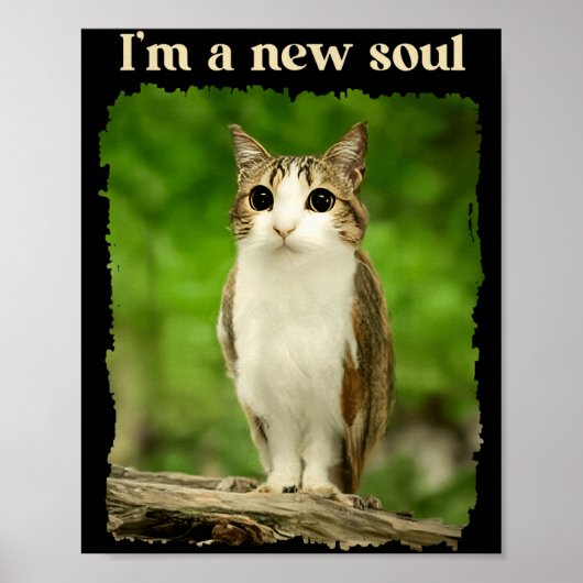 Funny Meowl Meme, Cat Owl Meme Brainrot Gen Alpha Poster (Vorne)