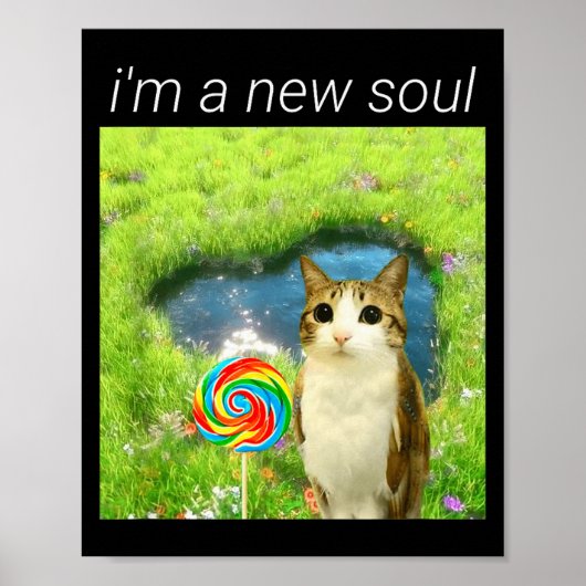 Funny Meowl Meme, Cat Owl Meme Brainrot Gen Alpha Poster (Vorne)