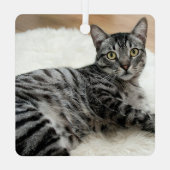 Funny MEOWY CHRISTMAS Cat Name 2 Foto Ornament Aus Metall (Rückseite)