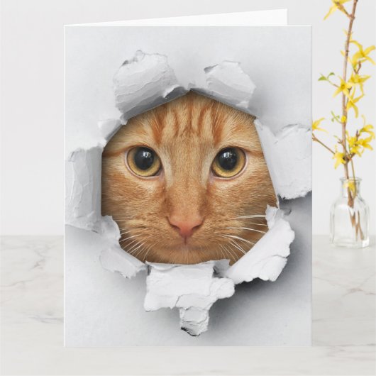 Funny Mischievous Niedlich Ginger Cat Karte (Gelbe Blume)