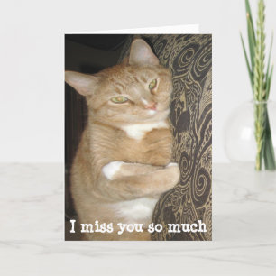 Funny missing you greeting card cat hug karte