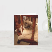 Funny mit einer Haltung Lumpenkatze Karte (Vorderseite)