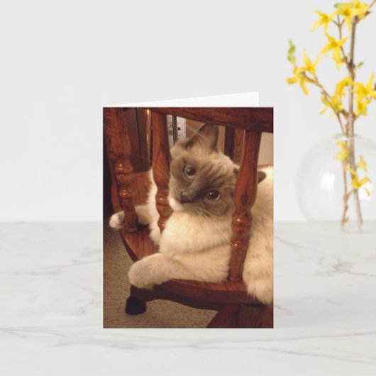 Funny mit einer Haltung Lumpenkatze Karte (Gelbe Blume)