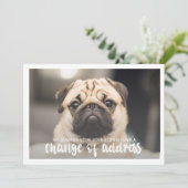 Funny Modern change Address Pet Dog Foto Einladung (Stehend Vorderseite)