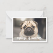 Funny Modern change Address Pet Dog Foto Mitteilungskarte (Vorderseite)