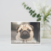 Funny Modern change Address Pet Dog Foto Postkarte (Stehend Vorderseite)