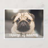 Funny Modern change Address Pet Dog Foto Postkarte (Vorderseite)