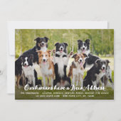 Funny Modern New Address Custom Pet Dog Foto Ankündigung (Vorderseite)