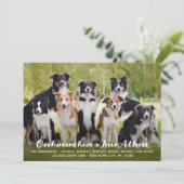 Funny Modern New Address Custom Pet Dog Foto Ankündigung (Stehend Vorderseite)