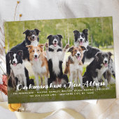 Funny Modern New Address Custom Pet Dog Foto Ankündigungspostkarte