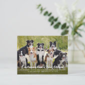 Funny Modern New Address Custom Pet Dog Foto Postkarte (Stehend Vorderseite)