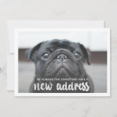 Funny Modern New Address Pet Dog Foto Einladung (Vorderseite)