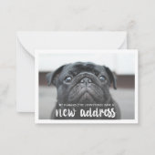 Funny Modern New Address Pet Dog Foto Mitteilungskarte (Vorderseite)