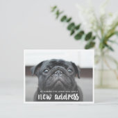 Funny Modern New Address Pet Dog Foto Postkarte (Stehend Vorderseite)