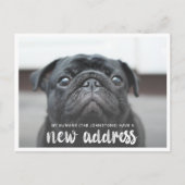 Funny Modern New Address Pet Dog Foto Postkarte (Vorderseite)