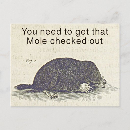 Funny Mole Greetings Card, Animal Birthday Spaß Postkarte (Vorderseite)
