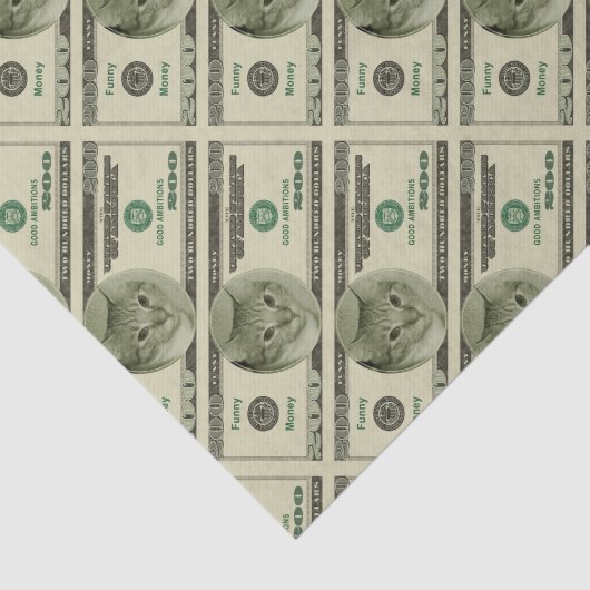 Funny Money Seidenpapier (Ausschnitt)