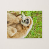 Funny Monkey Animal Puzzle (Horizontal)