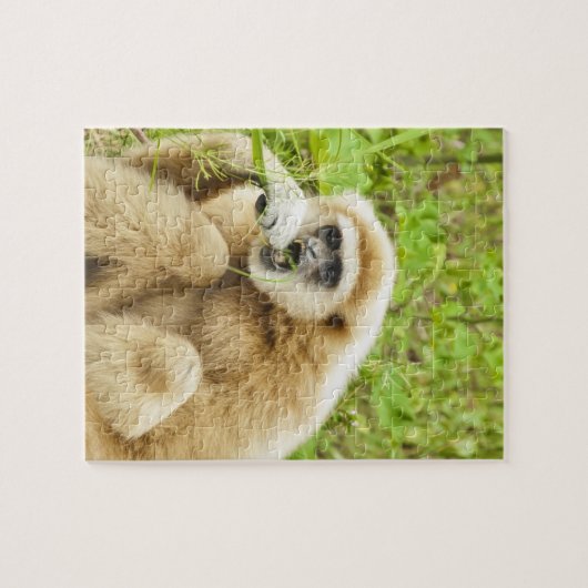 Funny Monkey Animal Puzzle (Horizontal)