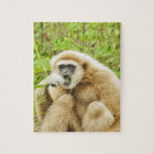 Funny Monkey Animal Puzzle (Vertikal)