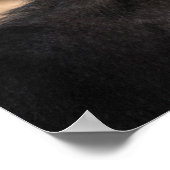 Funny Monkey Ape Chimp Memes mit Lustigen Sprüchen Poster (Ecke)