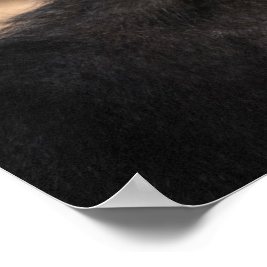 Funny Monkey Ape Chimp Memes mit Lustigen Sprüchen Poster (Ecke)