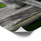 Funny Monkey Ape Gorilla Nemes mit Lustigen Sprüch Poster (Ecke)