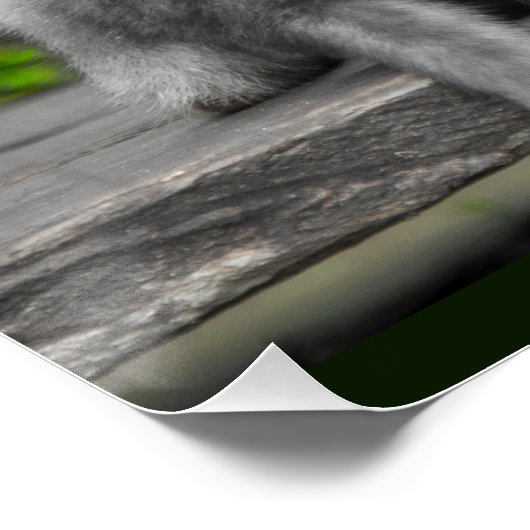 Funny Monkey Ape Gorilla Nemes mit Lustigen Sprüch Poster (Ecke)