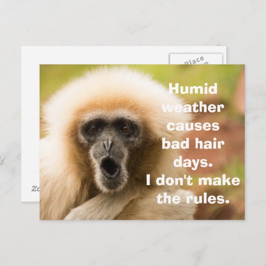 Funny Monkey Bad Hair Day Postkarte (Vorne/Hinten)
