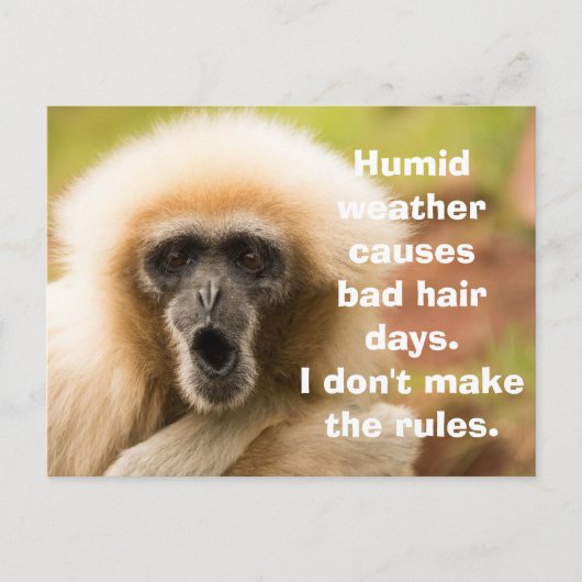 Funny Monkey Bad Hair Day Postkarte (Vorderseite)