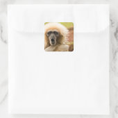 Funny Monkey Bad Hair Day Quadratischer Aufkleber (Tasche)