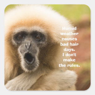 Funny Monkey Bad Hair Day Quadratischer Aufkleber