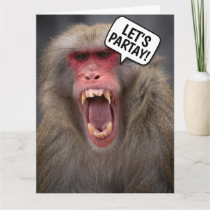 FUNNY MONKEY BIRTHDAY GREETING CARD KARTE
