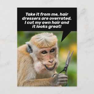 Funny Monkey mit einem schlechten Haar Cut Shelter Postkarte