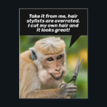Funny Monkey mit einem schlechten Haar Cut Shelter Postkarte<br><div class="desc">Die sonnige Postkarte eines Affen, der sich das Haar geschnitten hat, während er sich in der Wohnung befindet. Sie sagt: "Nimm es mir, Friseure sind überbewertet. Ich schnitt mir die Haare und es sieht großartig aus." Offensichtlich nicht. Die Rückseite sagt: "Und keine Sorge um deine Wurzeln... jeder hat sie." Hahaha....</div>