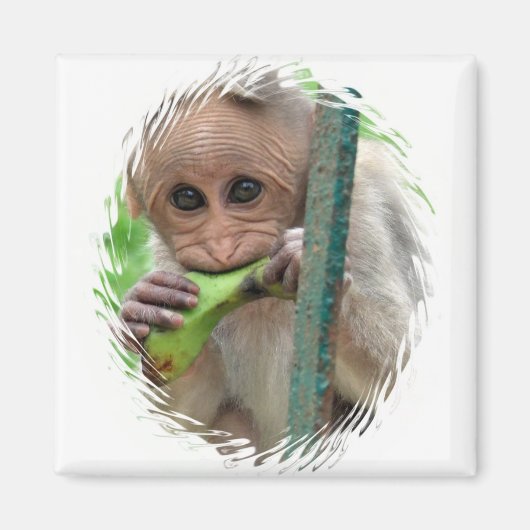 Funny Monkey Picture Magnet (Vorne)