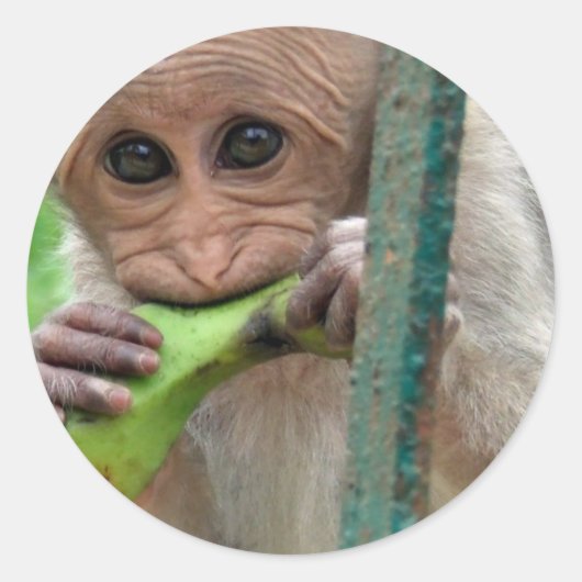Funny Monkey Picture Sticker (Vorderseite)